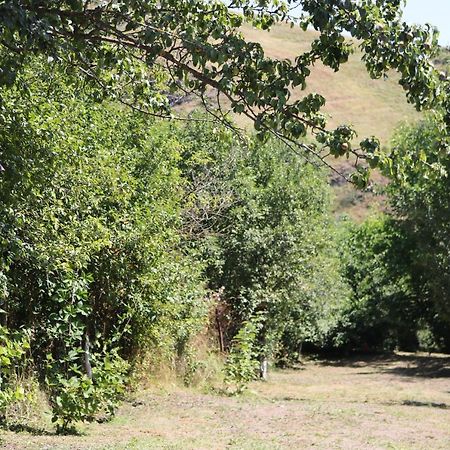 Villa Shamakhyan Dilijan Exteriör bild