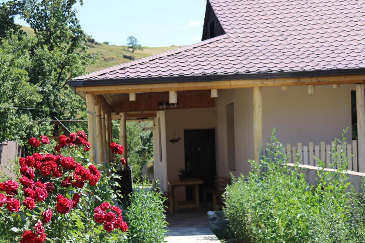 Villa Shamakhyan Dilijan Exteriör bild