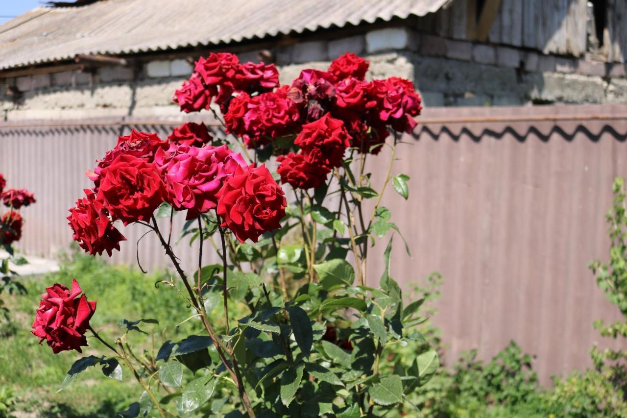 Villa Shamakhyan Dilijan Exteriör bild