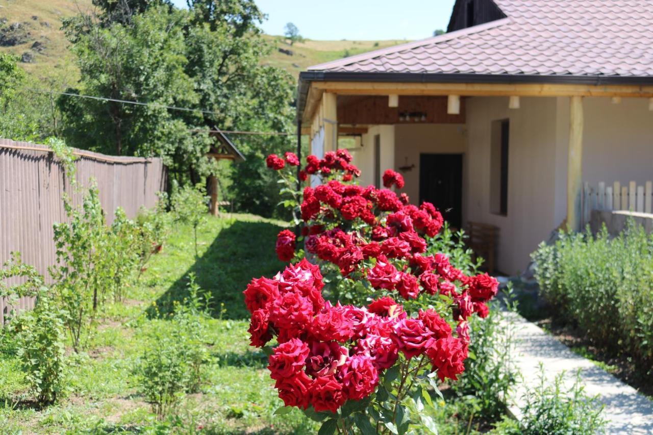 Villa Shamakhyan Dilijan Exteriör bild