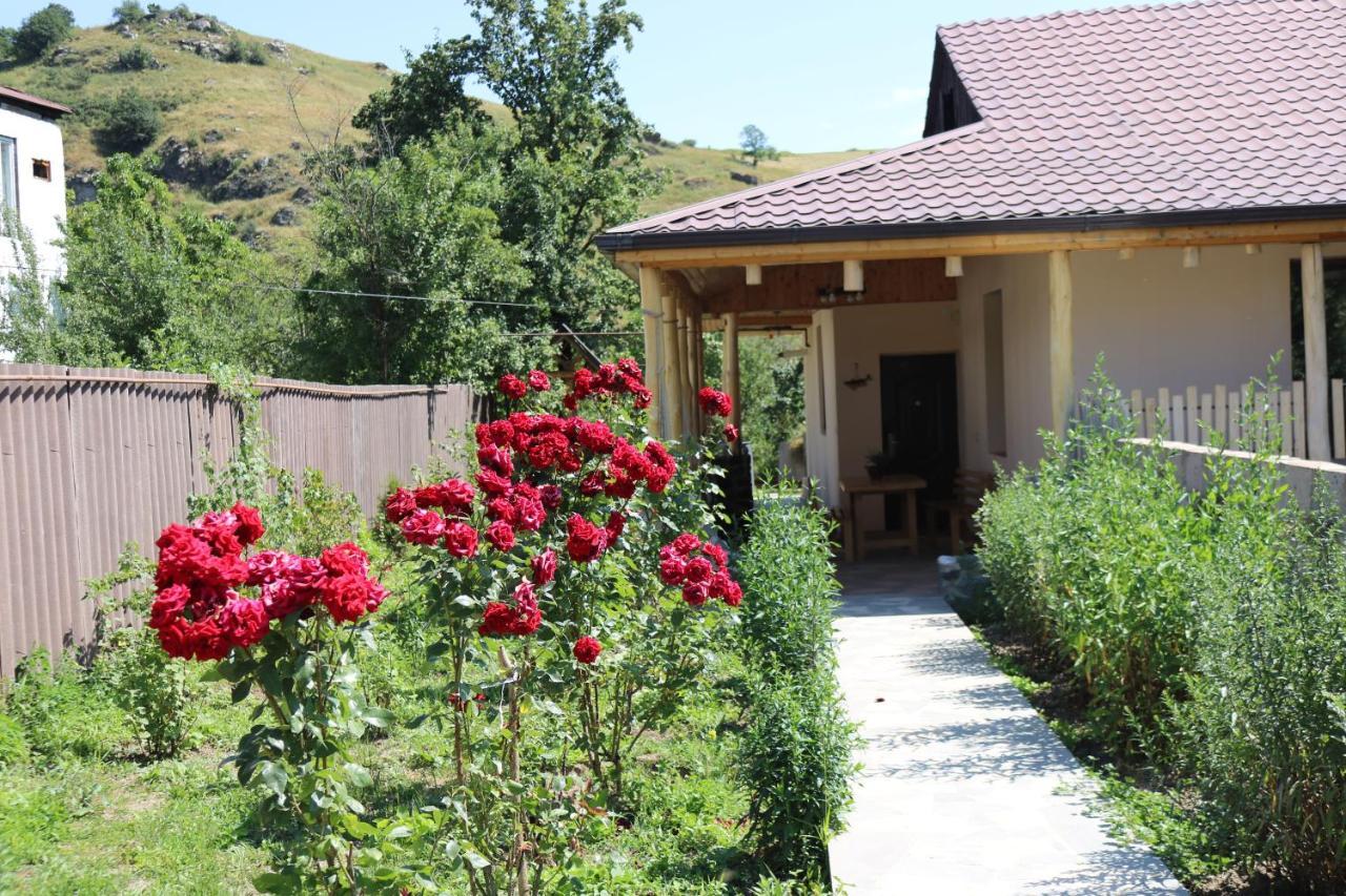 Villa Shamakhyan Dilijan Exteriör bild
