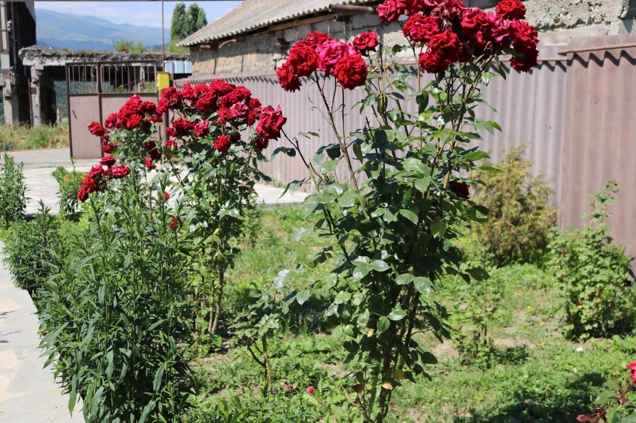 Villa Shamakhyan Dilijan Exteriör bild