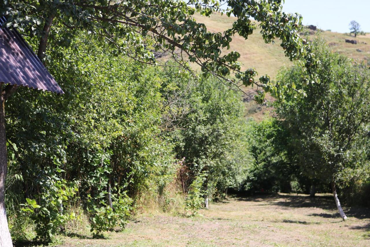 Villa Shamakhyan Dilijan Exteriör bild